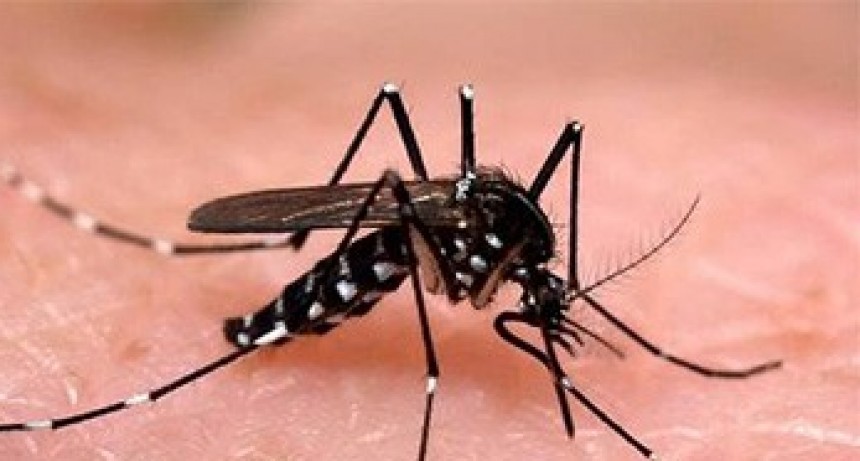 Confirman segundo caso de dengue en Pérez Millán, se intensifican las medidas de prevención