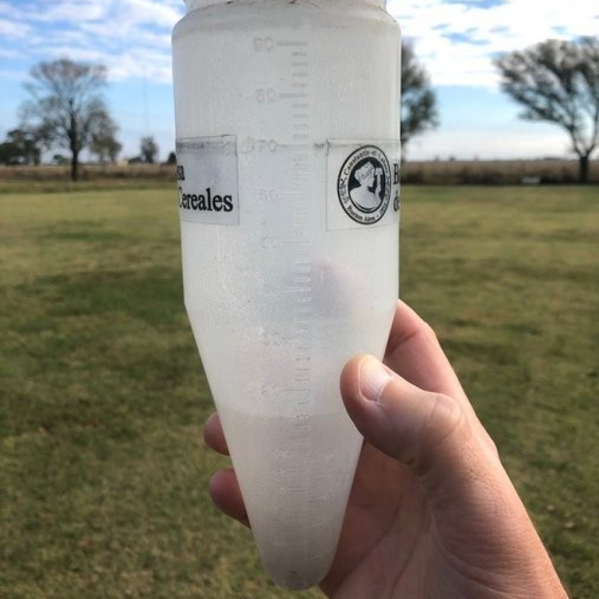 Lluvias esperanzadoras alivian la sequía antes de la siembra de trigo en el norte de Buenos Aires