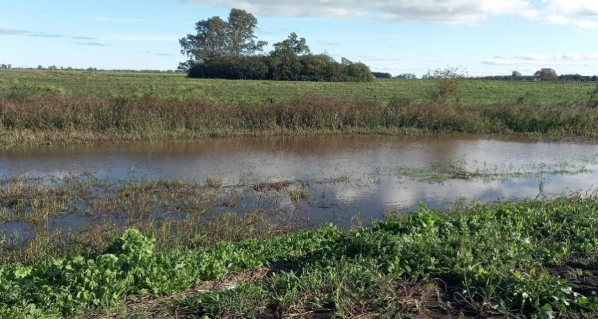 Lluvias desbordantes: registros extraordinarios desafían la actividad agrícola en el país