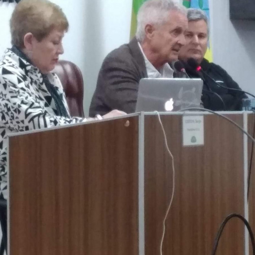 HUAU: Un proyecto artístico que une a la comunidad y empresas se presentó en el concejo deliberante