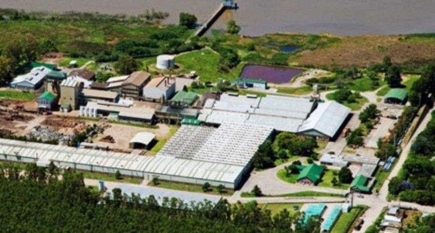 Huelga en Fiplasto: Reclamo nacional por salarios y bonos desató la protesta