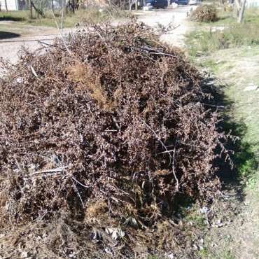 Quejas de vecinos en Villa Ramallo