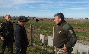 Robaron 12 vacas en Rueda, y recuperan 10 en Ramallo