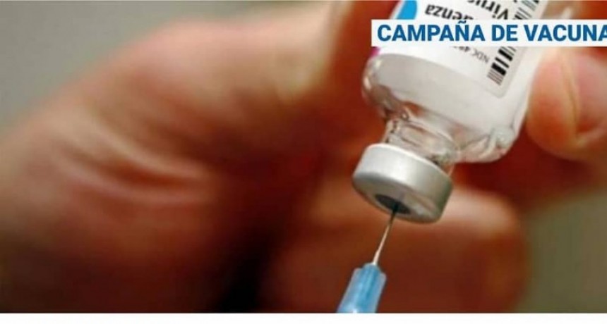 Campaña de vacunación