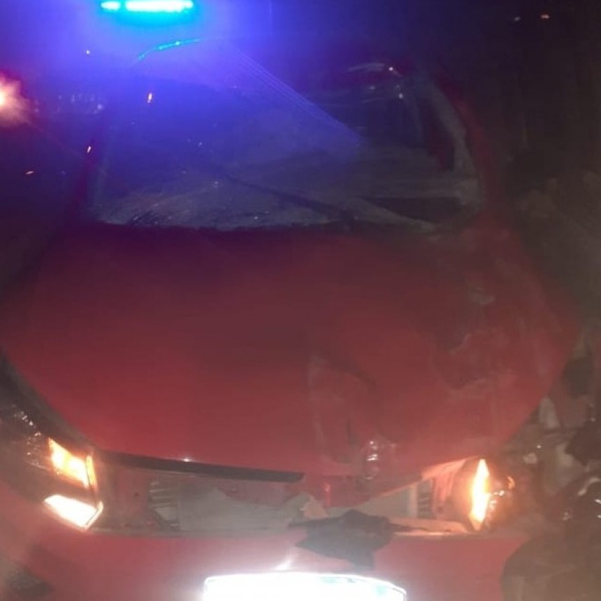 Un auto chocó un Caballo