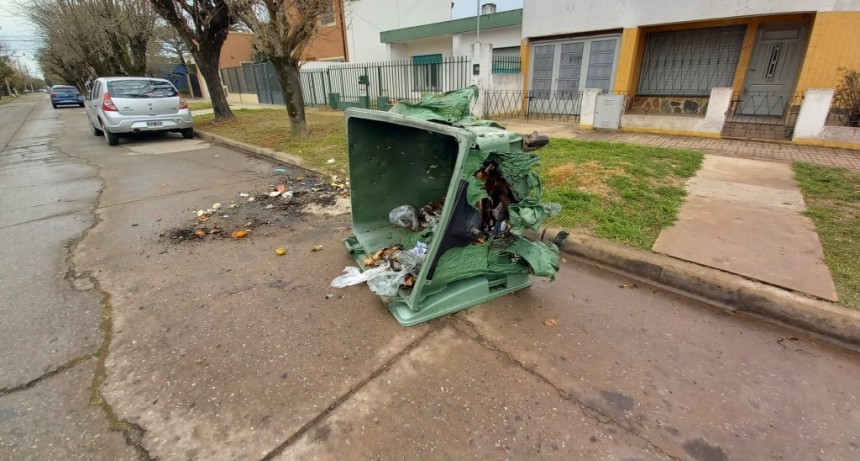 Vandalismo: Incendian un contenedor