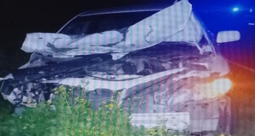 Segunda colisión en el Camino de la Costa: vehículo impactó con un bovino sin dejar lesionados