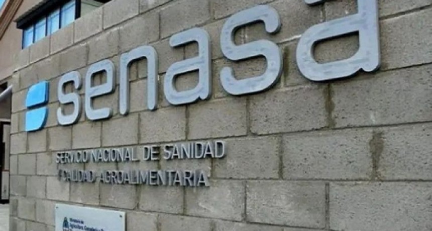 Cierre de Oficinas de SENASA: la delegación de Ramallo tendrá a su cargo la de San Nicolás