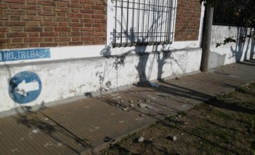 Fuerte gresca entre jovenes