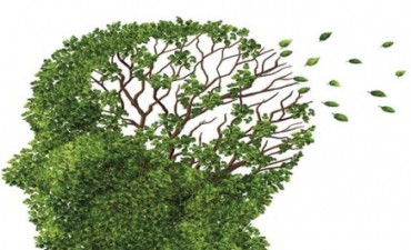 ALMA Asociación Lucha contra el Mal de Alzheimer San Nicolás informa