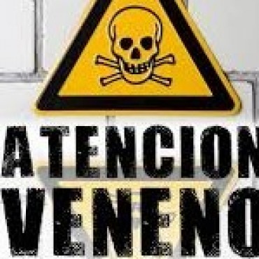 Denuncian que en Pérez Millán envenenan perros