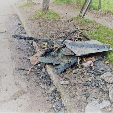 Vandalismo y detención