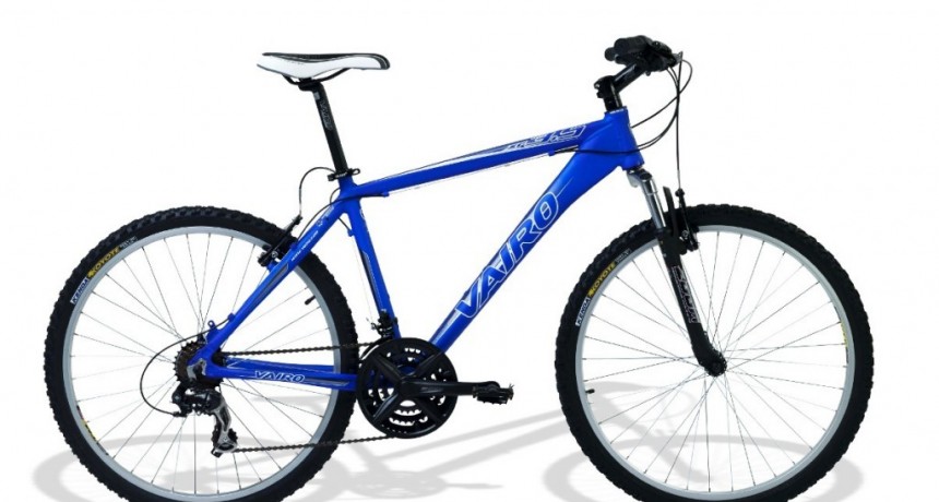 Roban dos bicicletas de una cochera