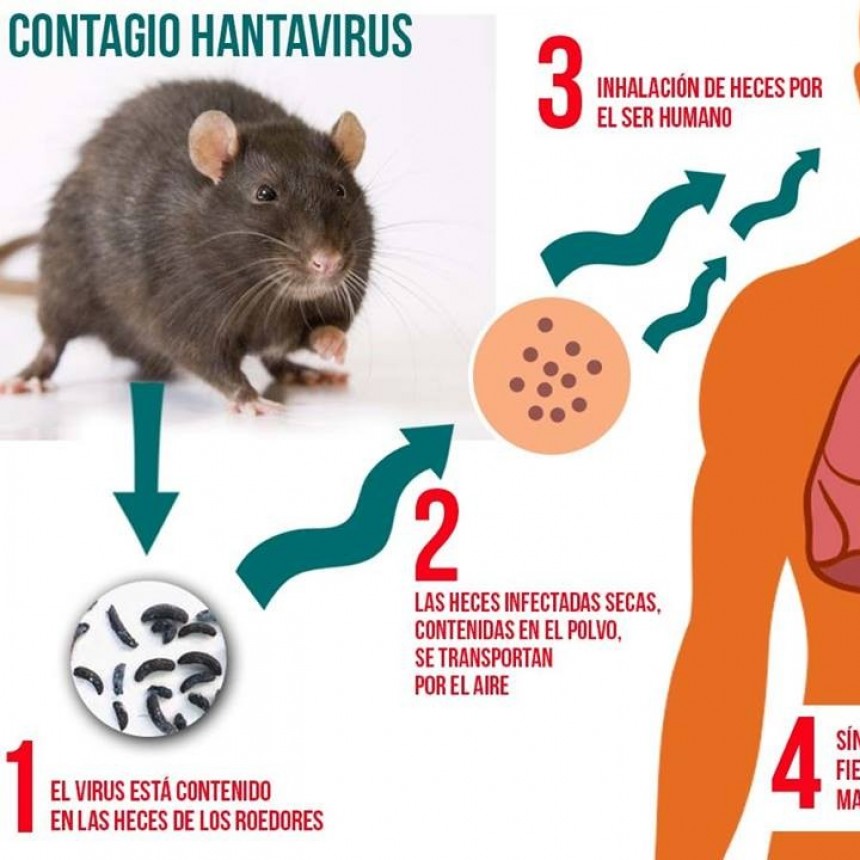 No descartan un posible caso de Hantavirus