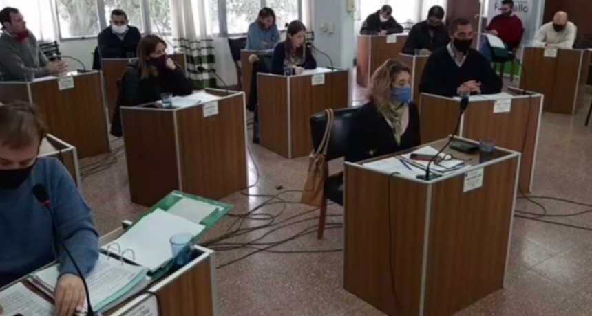 Lorena Vercelli, apoderada de la Empresa de Colectivos Ramallo S.R.L, solicita aporte del Municipio para sostener el servicio