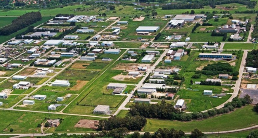 Pandemia vs Empleo: La batalla económica