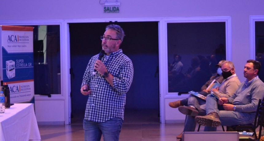 “Acá el tema esta complicado porque las heladas son continuas, una tras otra, hacen un daño total en la planta”