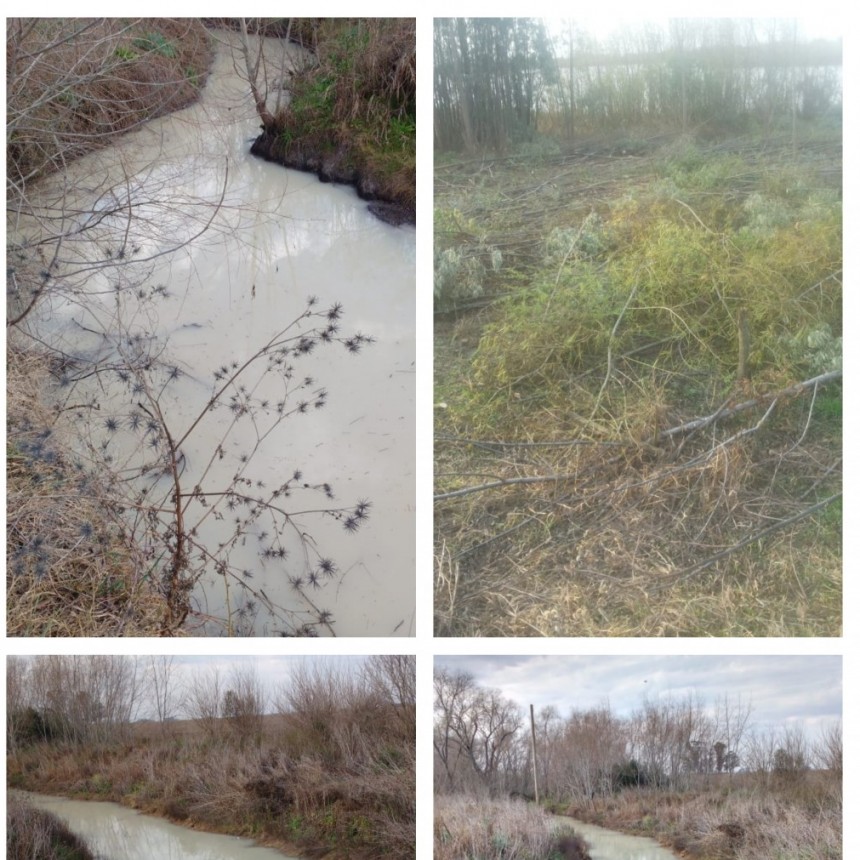 La Asamblea Vecinal en alerta por la situación del arroyo Las Hermanas y la tala en el Tonelero