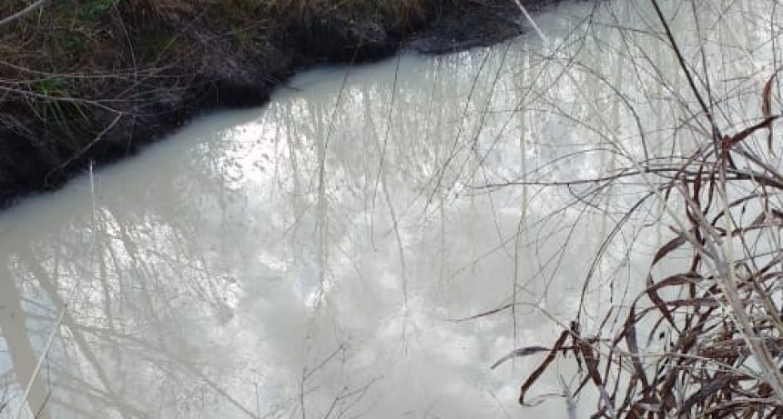 Piden que el municipio realice los análisis