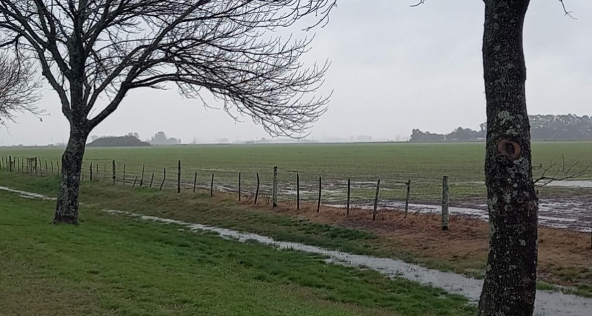  Lluvias beneficiaron al noreste de la provincia de Buenos Aires