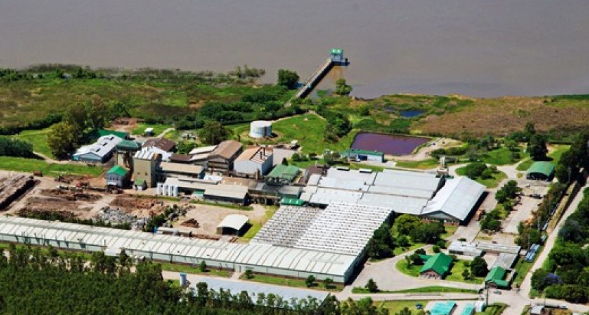  Marcelo Mindlin lideró la adquisición del control de Fiplasto, referente en la producción de tableros de madera