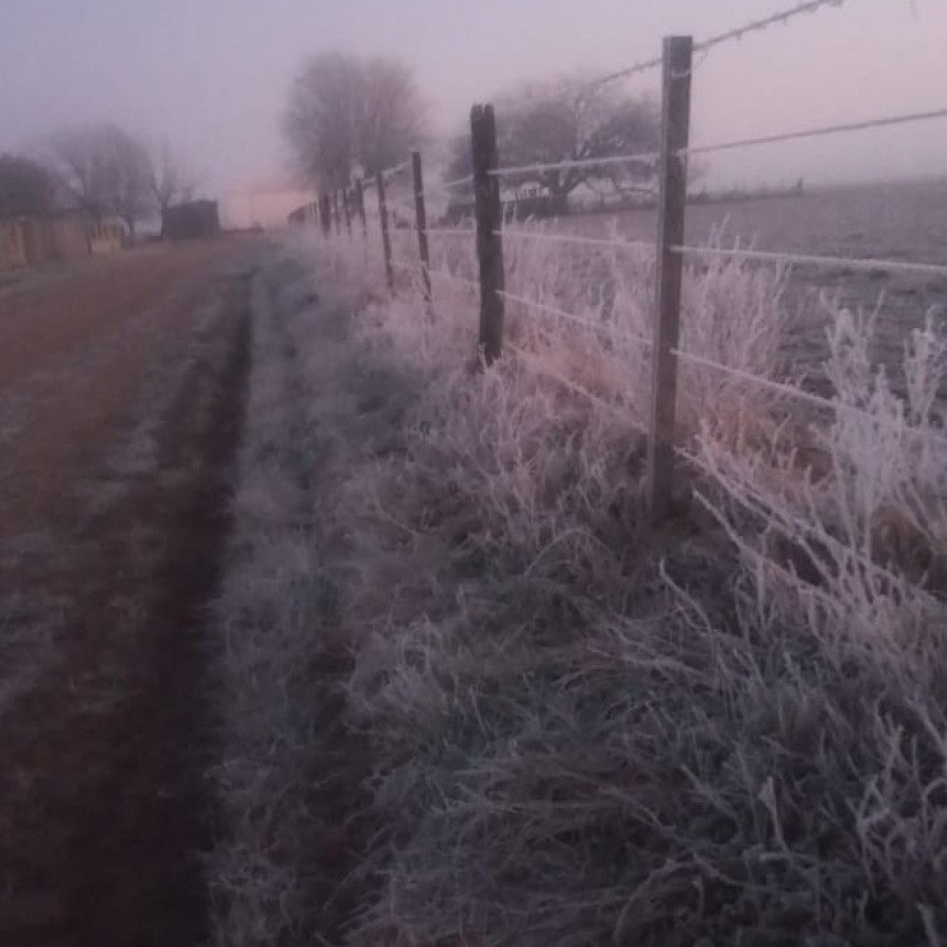 El campo sufre las consecuencias de una ola polar que ya lleva dos semanas