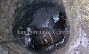 Cayó un equino en un pozo