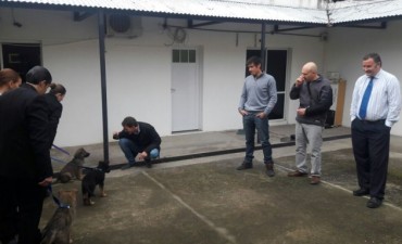 Presentaron los primeros tres ovejeros de la policía local 