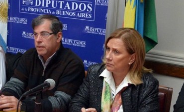 Intenso debate en comisión de diputados