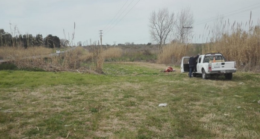 Embistió un caballo en el camino de la costa y salió ileso