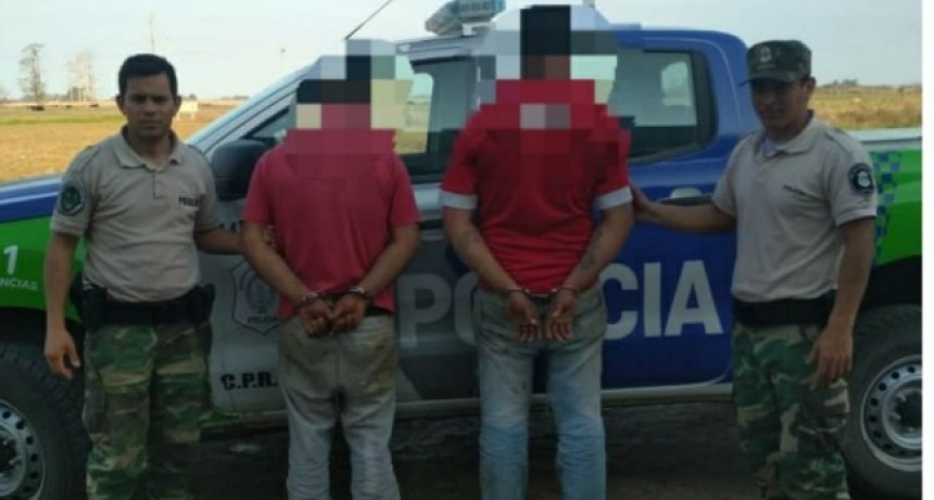 Dos sujetos detenidos por hurto