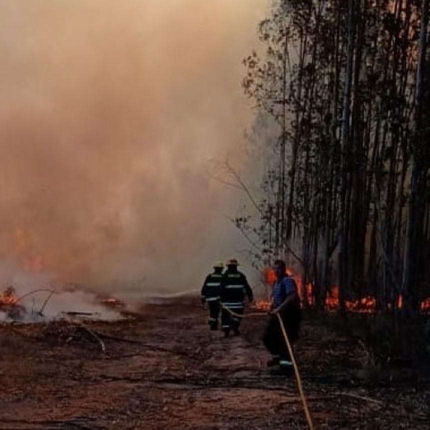 Intensa actividad de bomberos combatiendo incendio forestales
