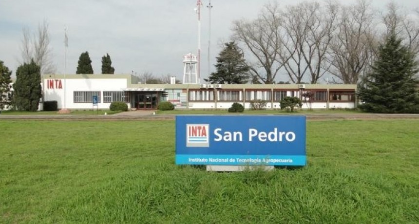 INTA SAN PEDRO en tiempos de pandemia