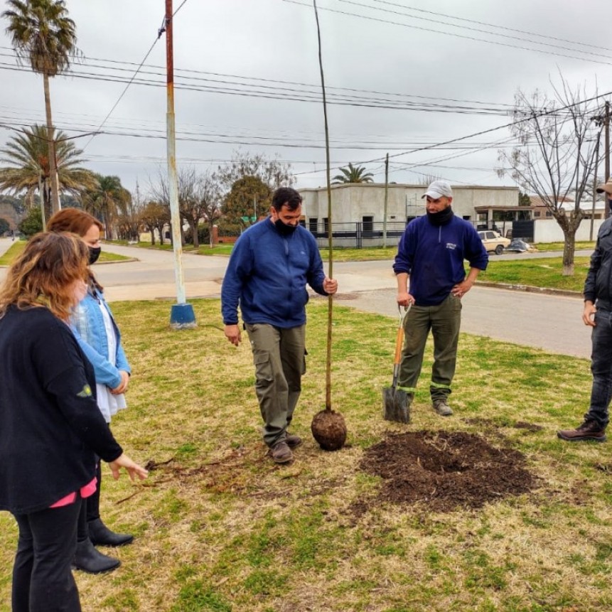 Pérez Millán: Concientización forestal 