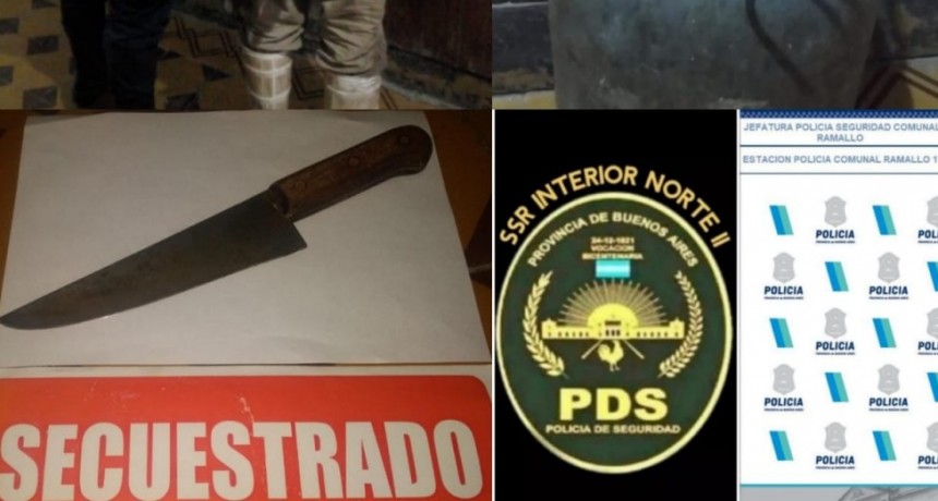 Hurto y Amenazas calificadas