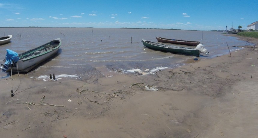 Bajante histórica del Paraná y consumo de agua en Ramallo
