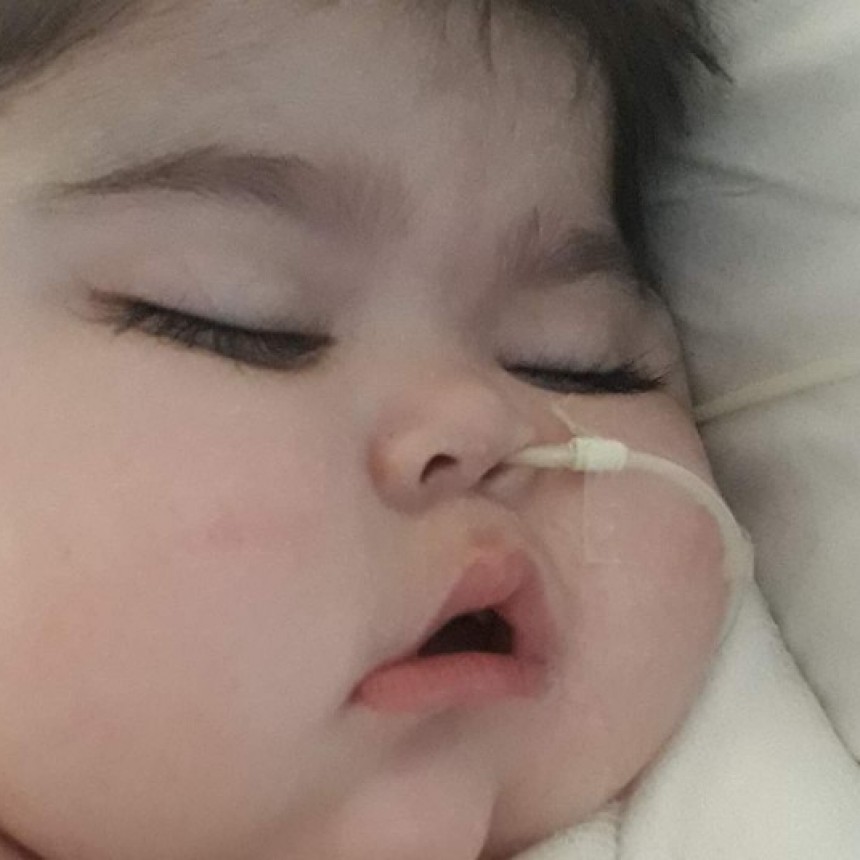 Un ladrillo para Felipe