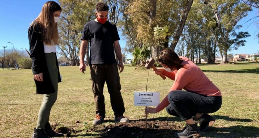 El municipio dio inicio al proyecto de puesta en valor del arbolado urbano.