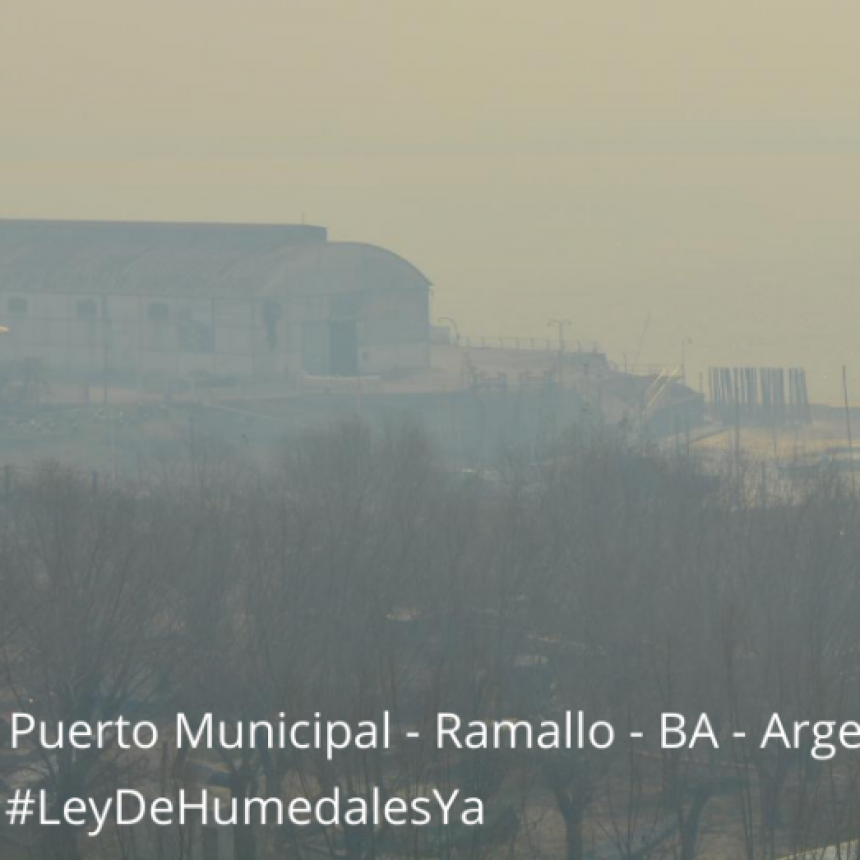 UPVA convoca a la comunidad a movilizarse por la quema en las islas