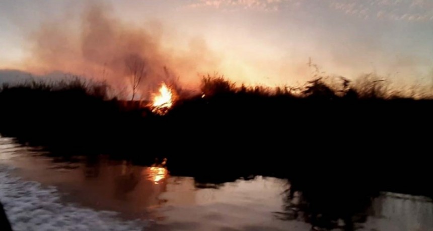 Liberaron a los detenidos por incendio en las islas frente a Ramallo