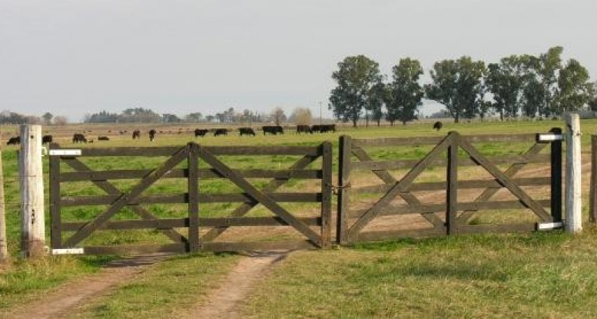 Aumento de tasas en Pergamino despierta inquietud en el sector agropecuario
