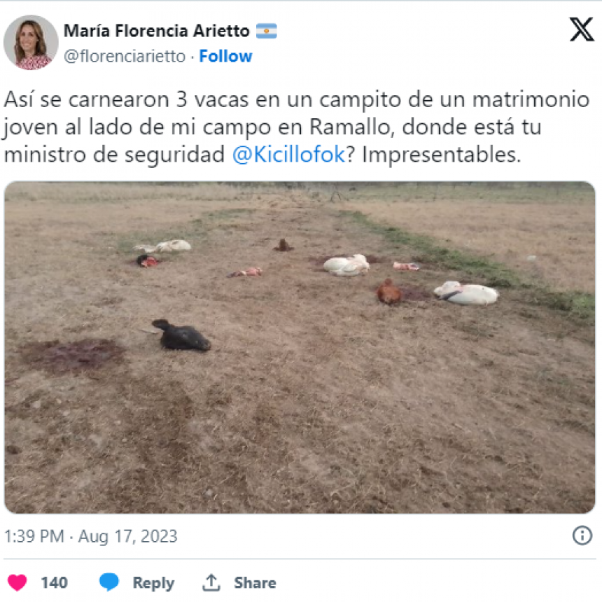 Confirmaron un caso de abigeato: carnearon tres vacas en un campo