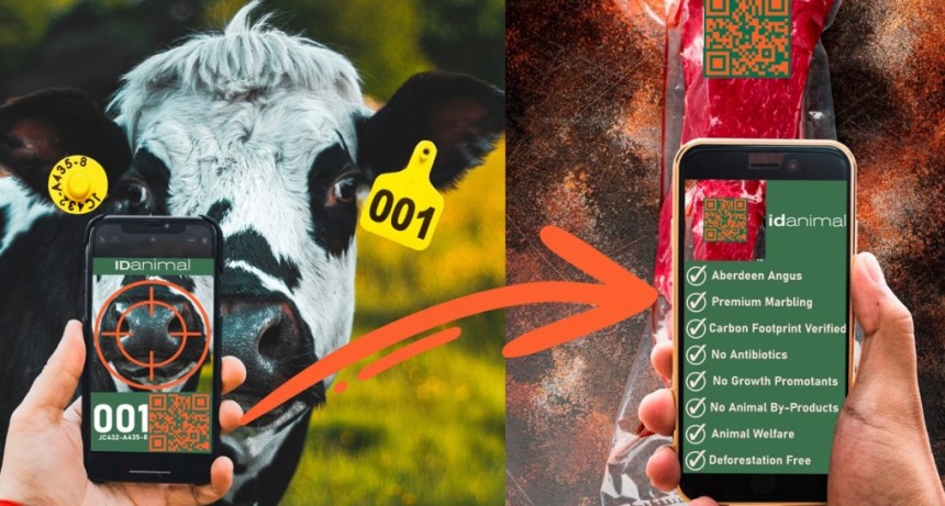 Innovación Agtech: Un ramallense revoluciona la identificación animal con tecnología biométrica