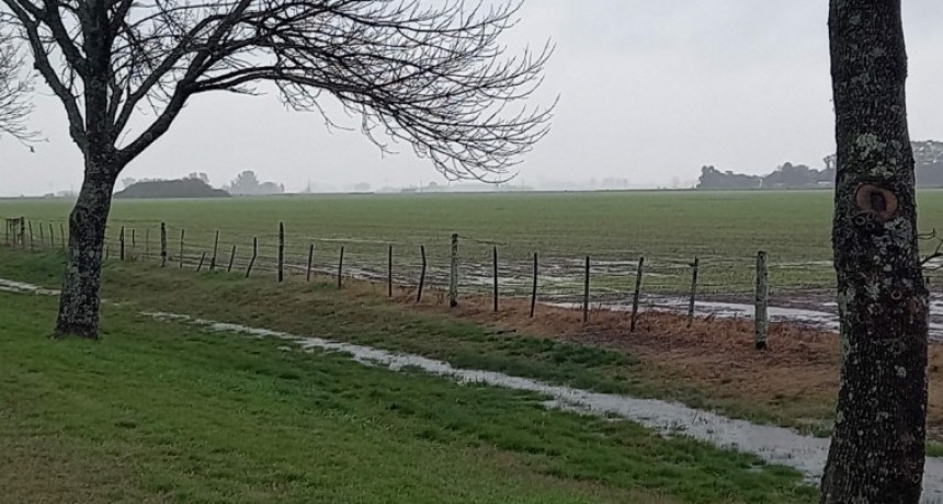 Ramallo bajo alerta meteorológico: Defensa Civil anticipó lluvias intensas y fuertes vientos