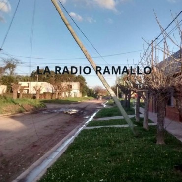 Ante quién corresponda