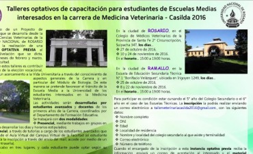 Talleres de capacitación