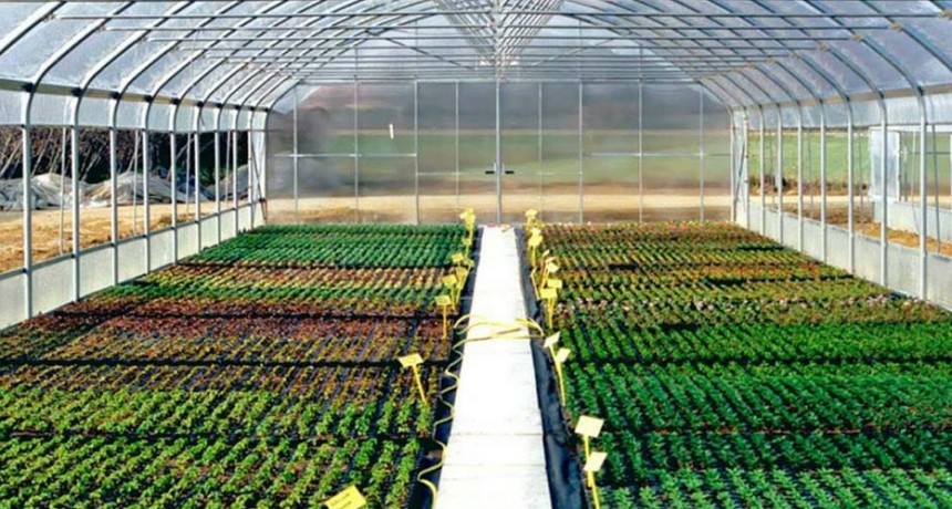 Aprobaron la creación de un vivero municipal