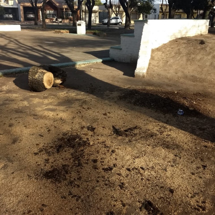 El delegado municipal de Villa Ramallo informó sobre la decisión de sacar árboles en la plaza y en la estación