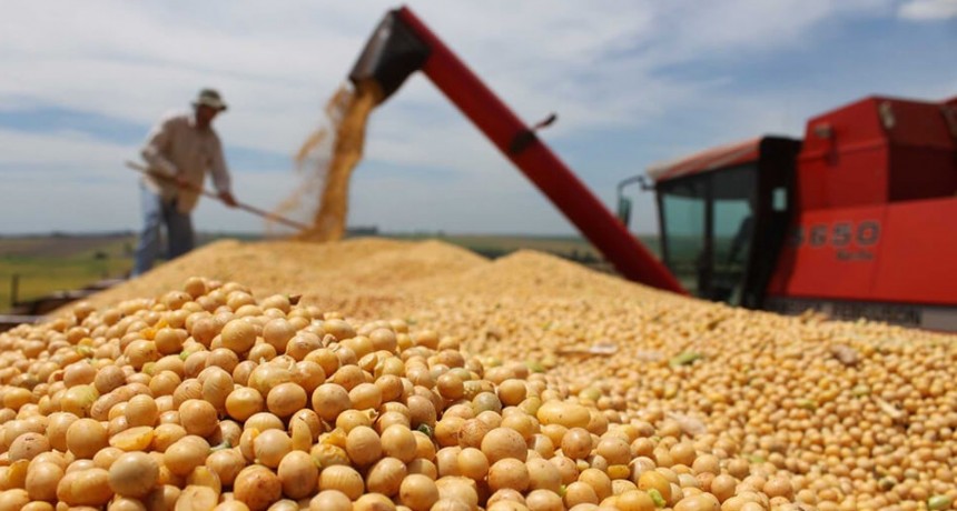 Sube el precio de la soja pero en la región no llueve