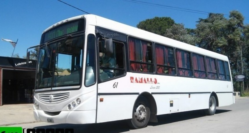 Transporte gratuito 